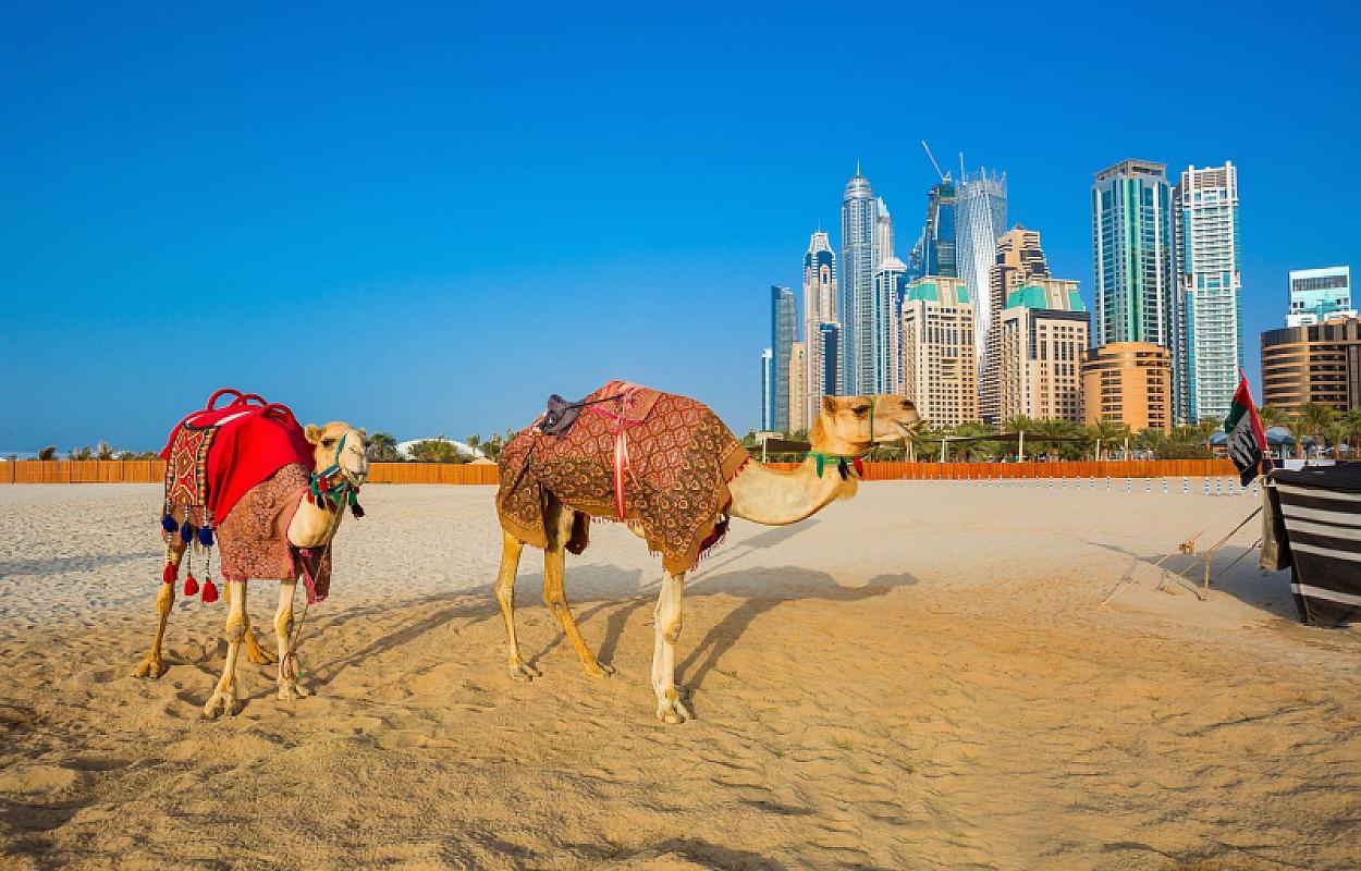  - Capodanno A Dubai