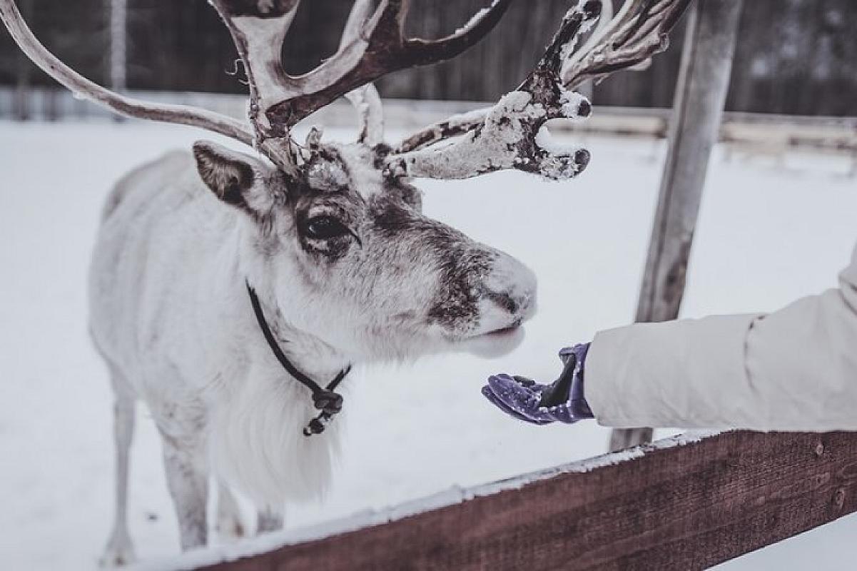  - Weekend a Rovaniemi