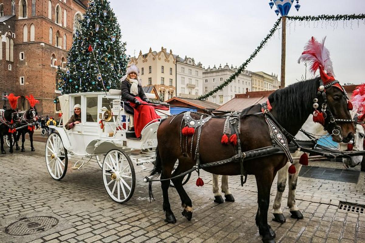  - Cracovia