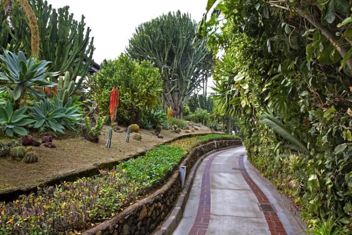  - Tenerife