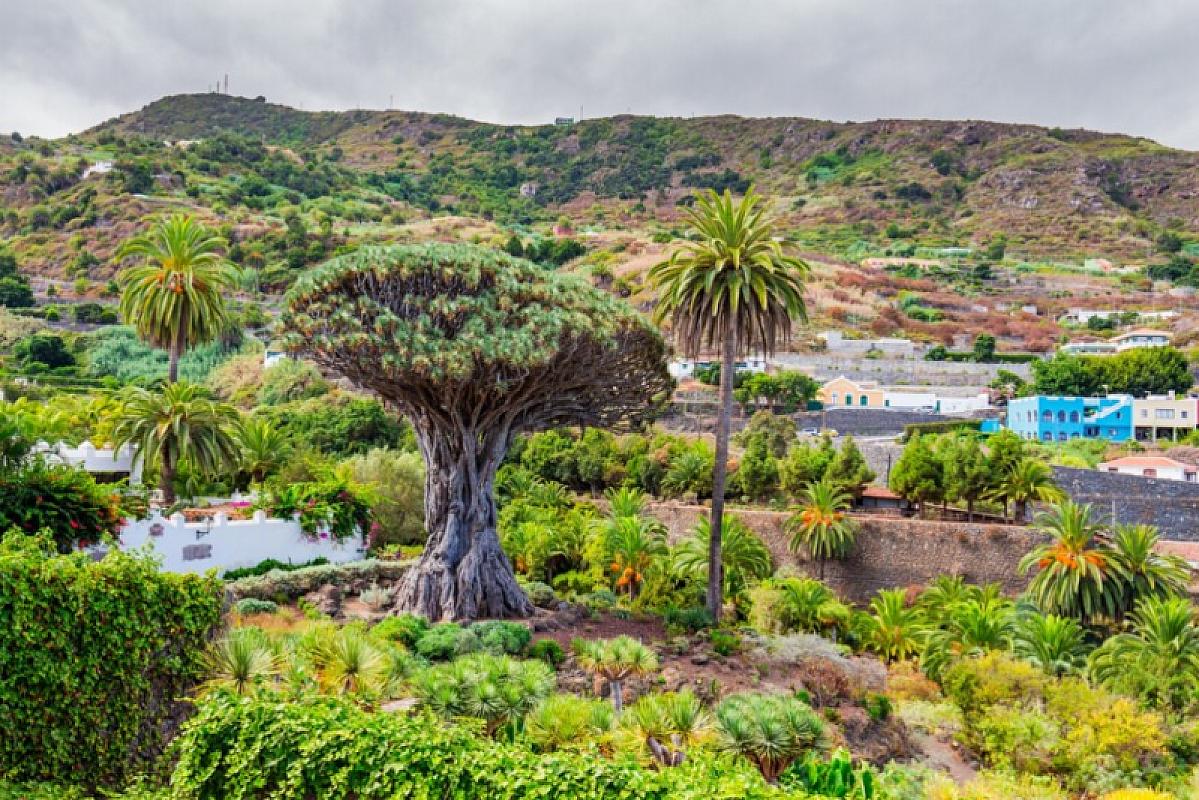  - Tenerife