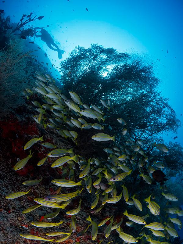  - Club Med Kani Maldive