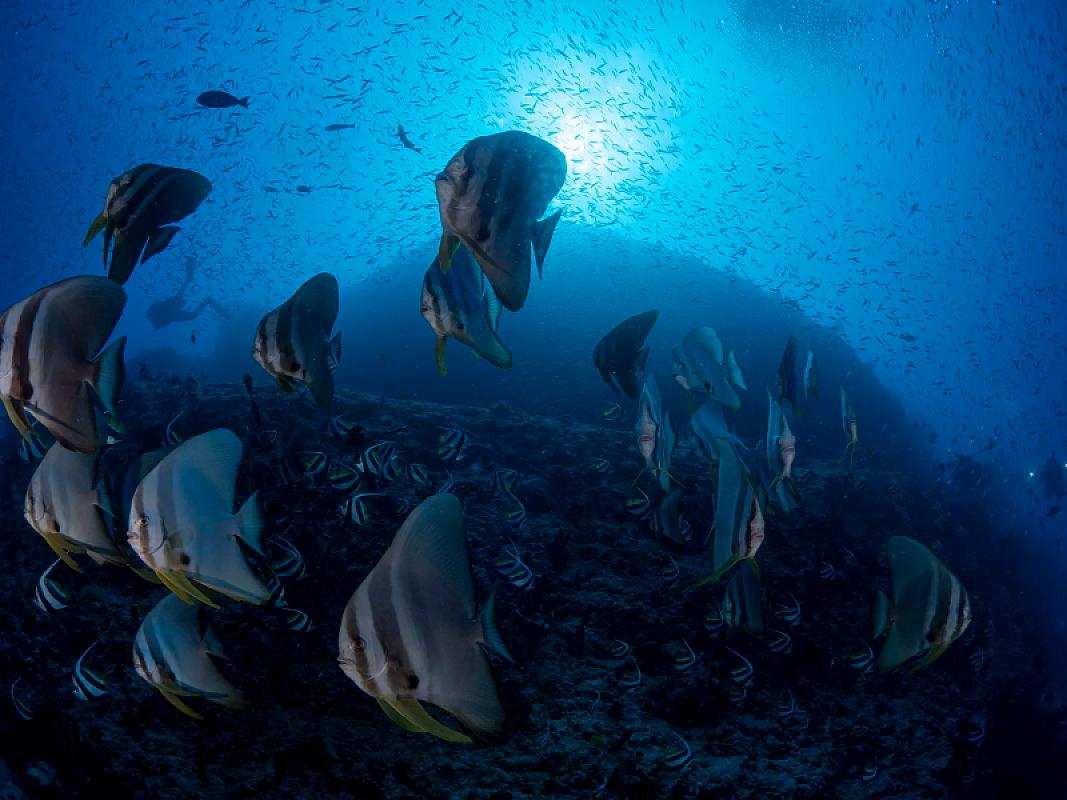  - Club Med Kani Maldive