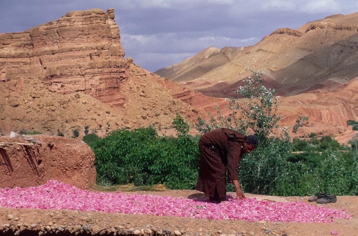  - Magie del Marocco da Nord al Sud