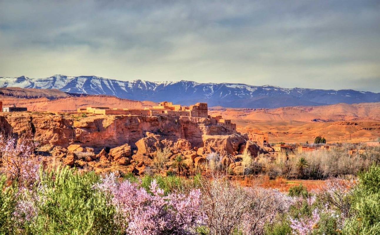  - Magie del Marocco da Nord al Sud