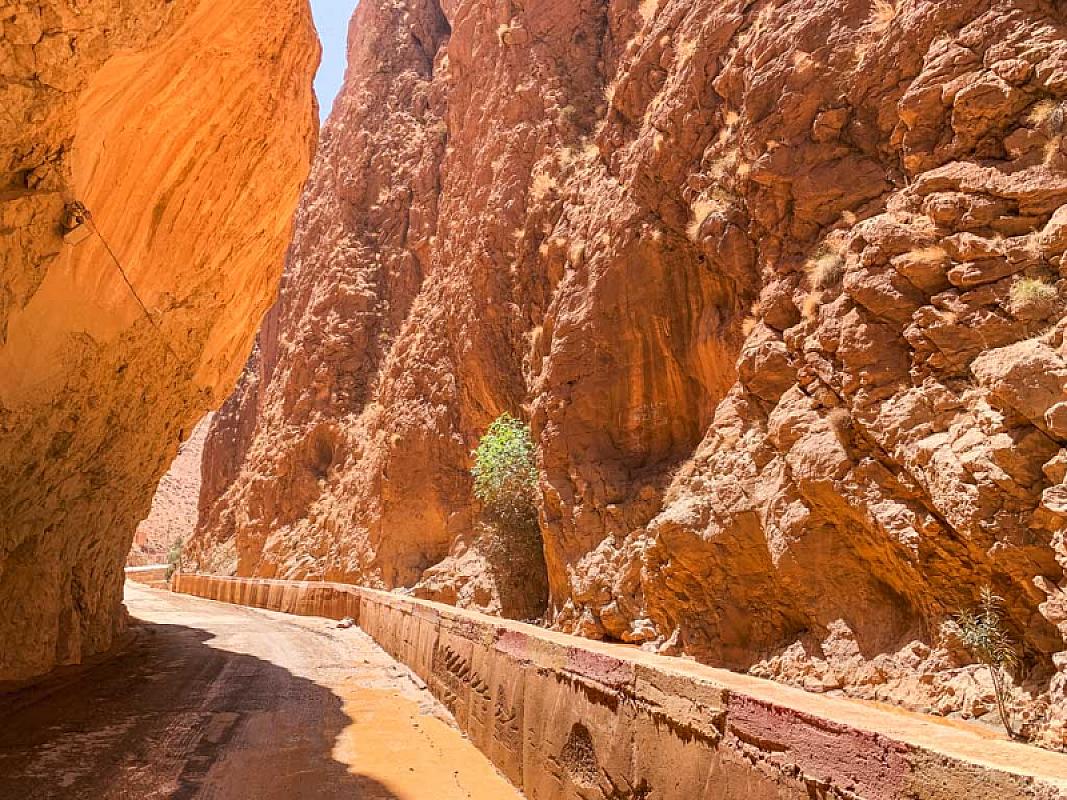  - Magie del Marocco da Nord al Sud
