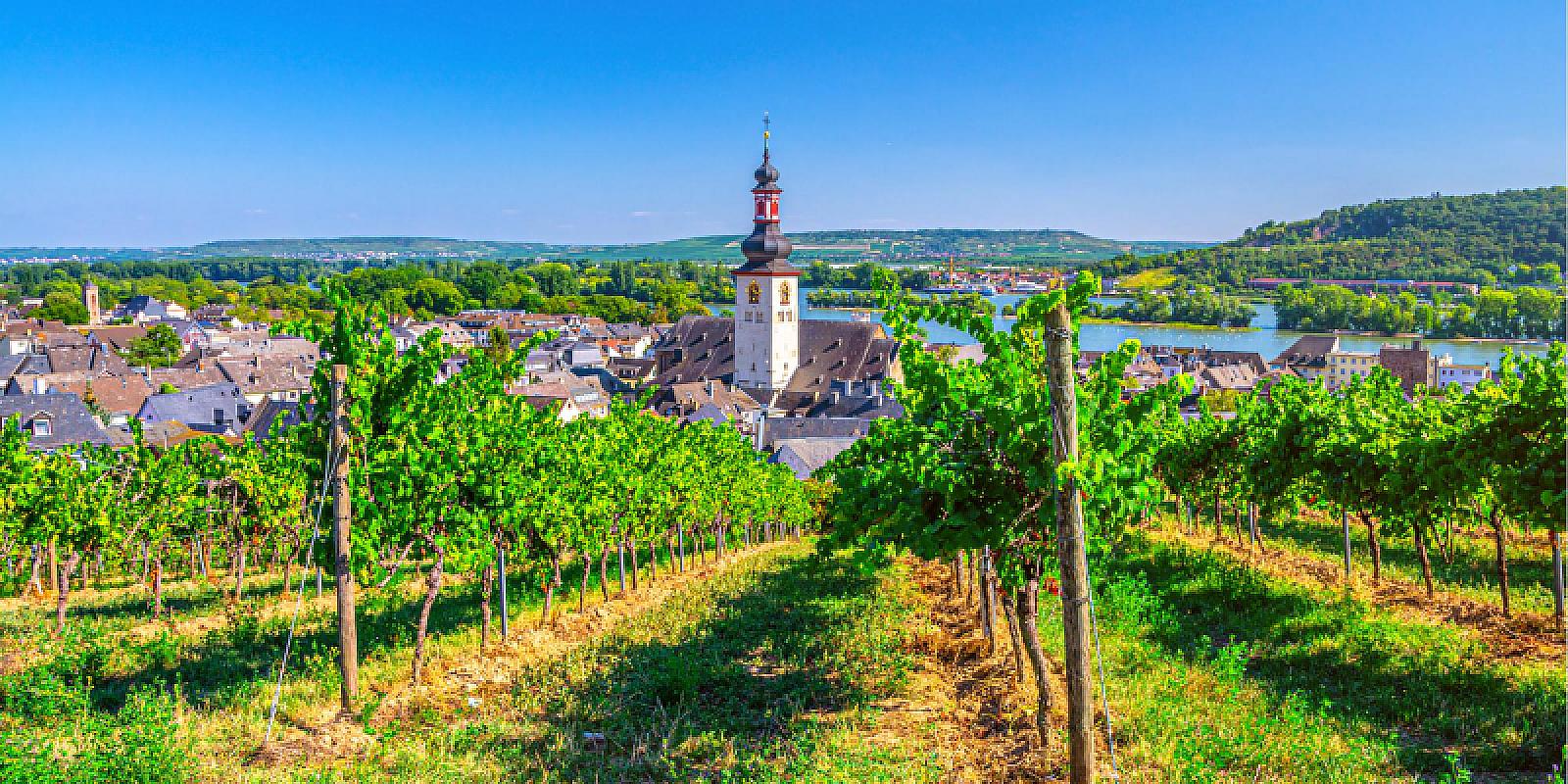  - Pasqua ad Amsterdam