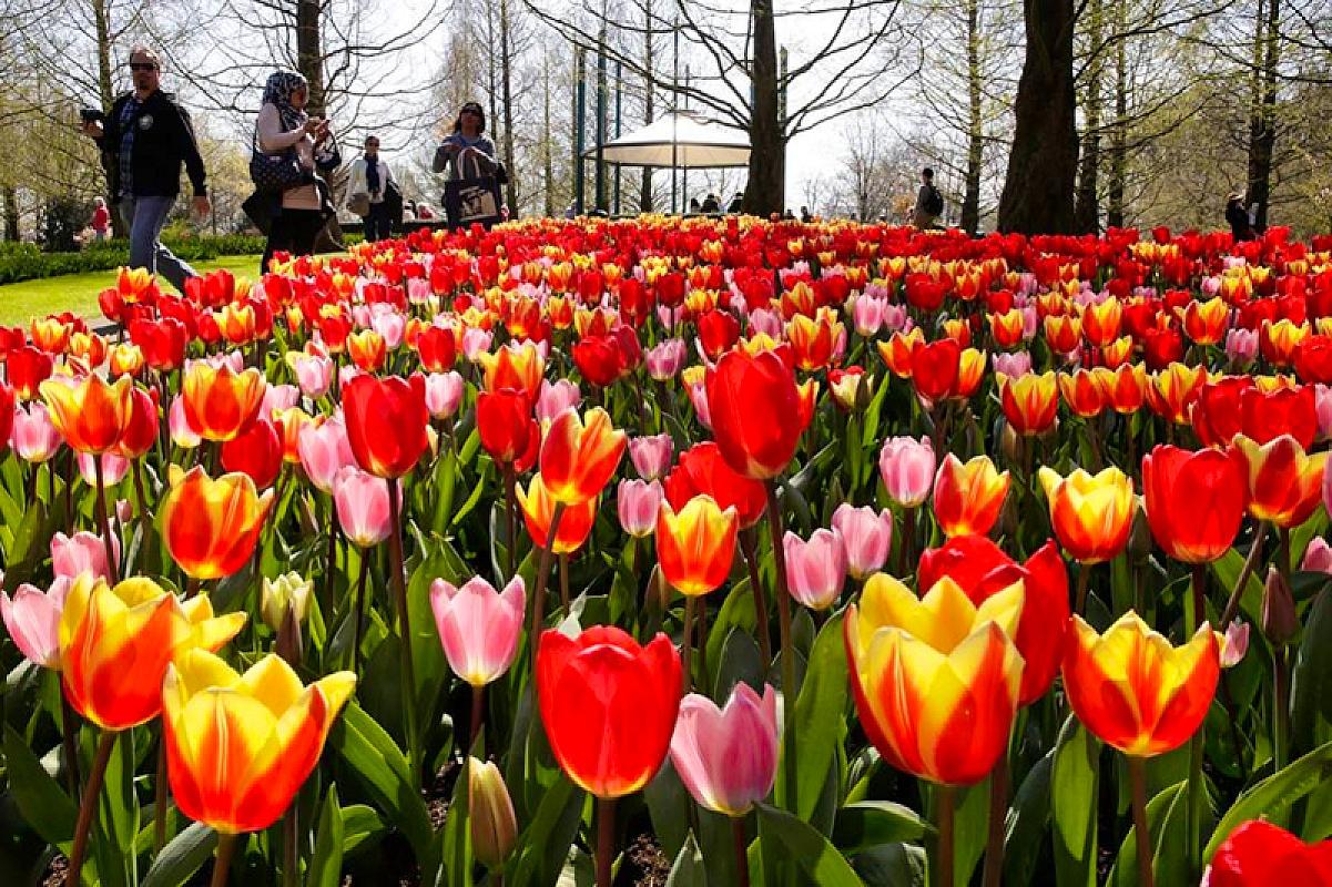  - Pasqua ad Amsterdam