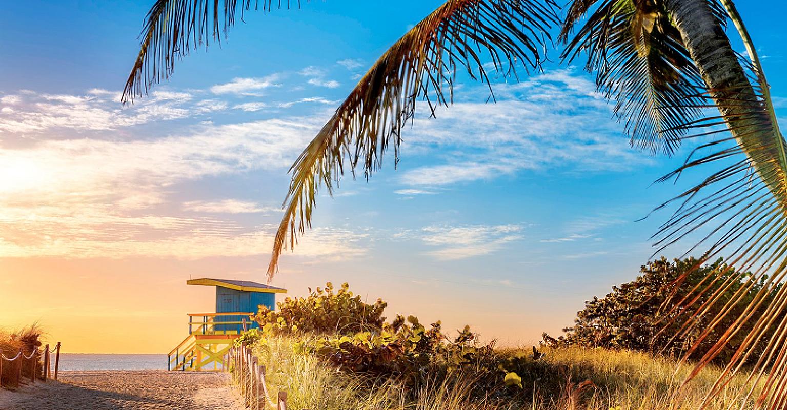  - MSC World America Caraibi e Antille 6 Dicembre