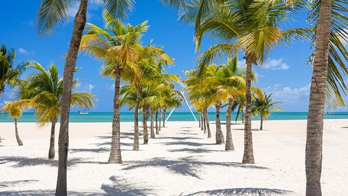  - MSC World America Caraibi e Antille 6 Dicembre