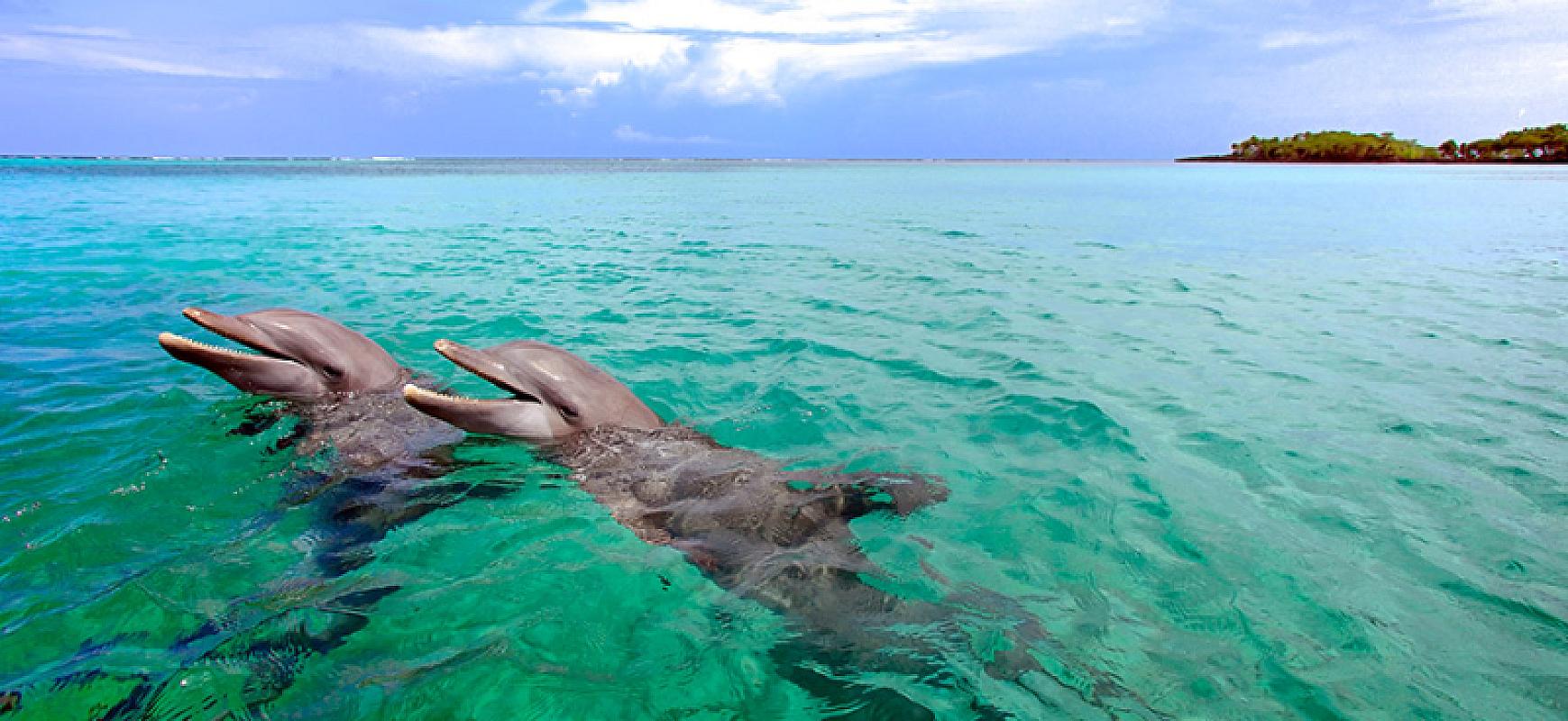  - MSC World America Caraibi e Antille 6 Dicembre