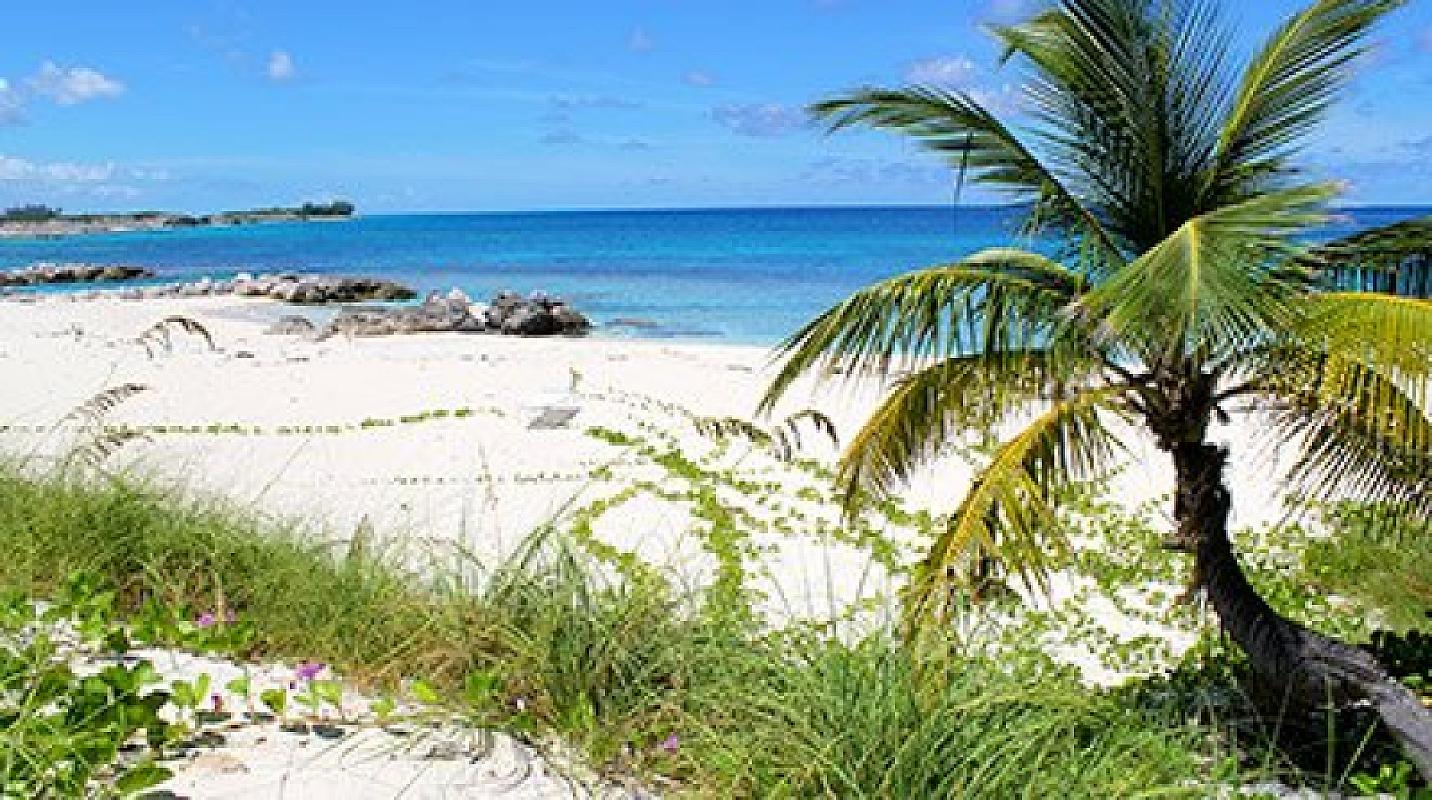  - MSC Meraviglia Caraibi e Antinelle 8 Febbraio