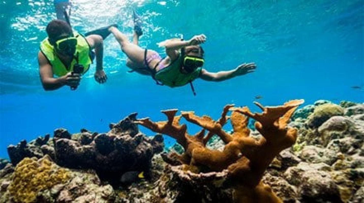  - MSC Meraviglia Caraibi e Antinelle 8 Febbraio