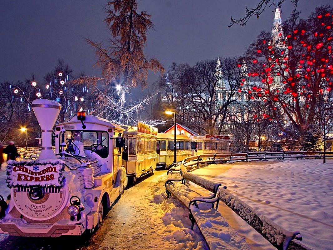  - Mercatini di Natale a Vienna