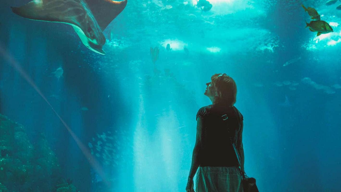  - Costa Pacifica Mediterraneo 25 Aprile