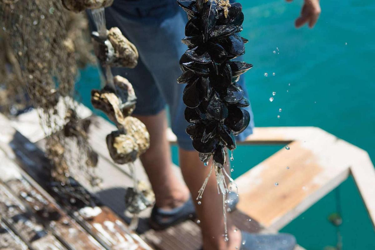  - Costa Deliziosa Mediterraneo 26 Aprile