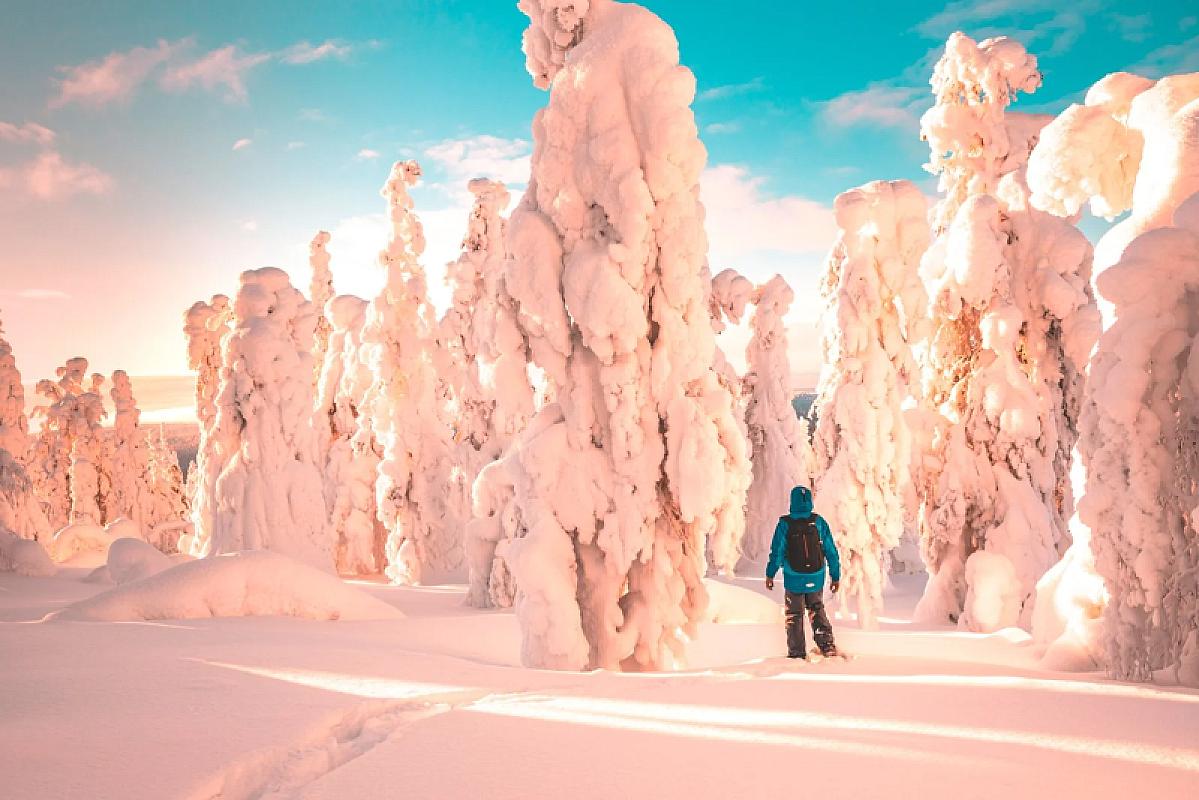  - Aurora Boreale in Lapponia