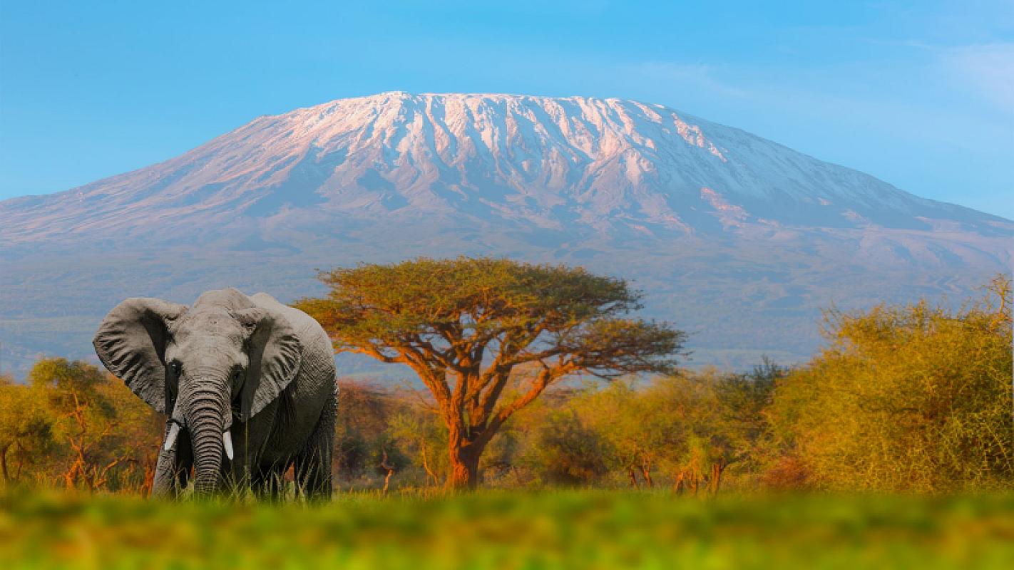  - Kenya Futura Club Twiga + Safari Kilimanjaro