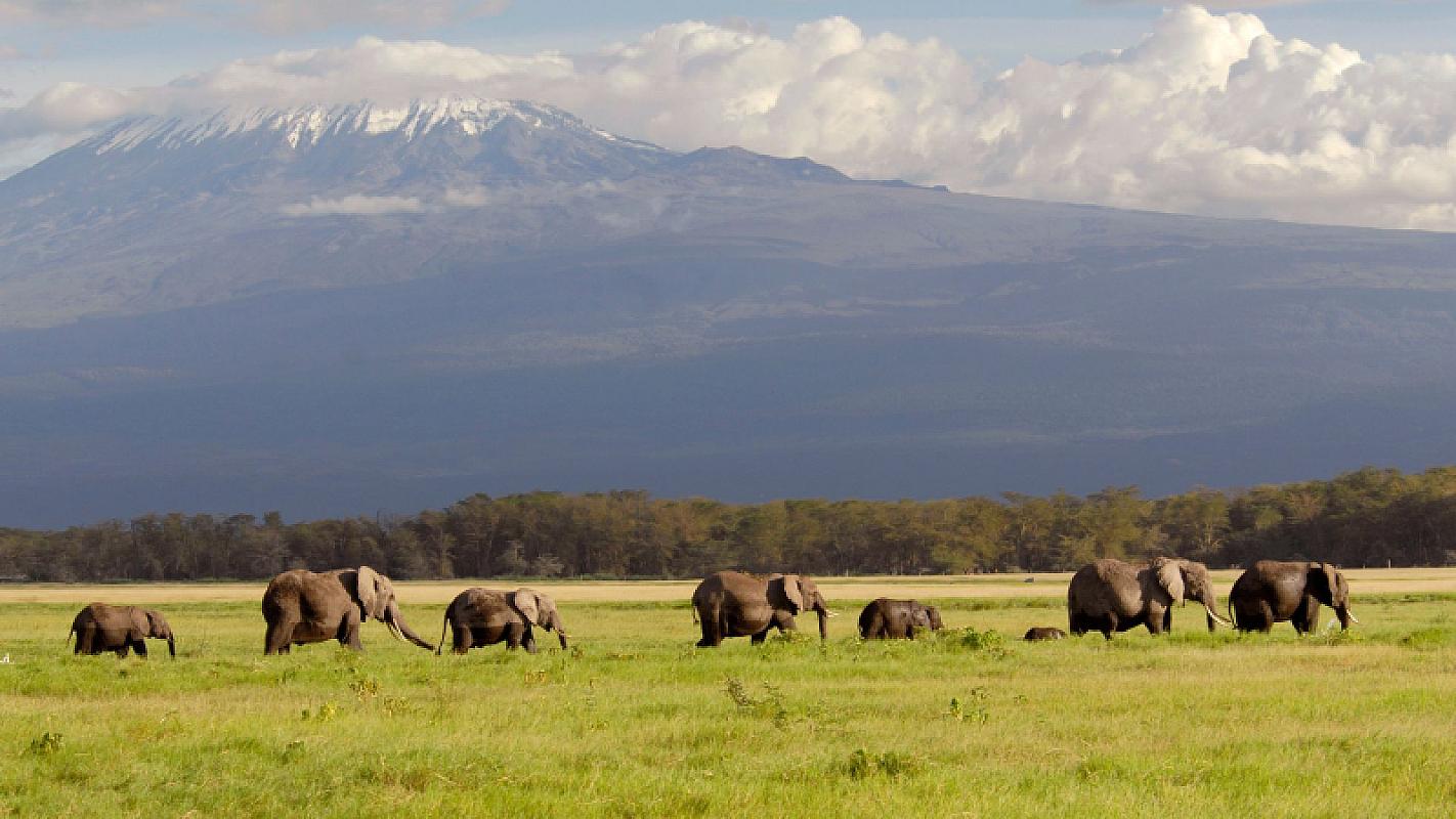  - Kenya Futura Club Twiga + Safari Amboseli