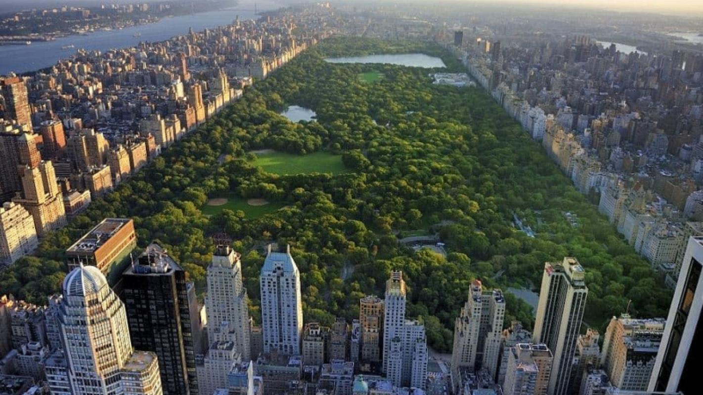  - New York con GoFar Tribe Thanksgiving e Black Friday