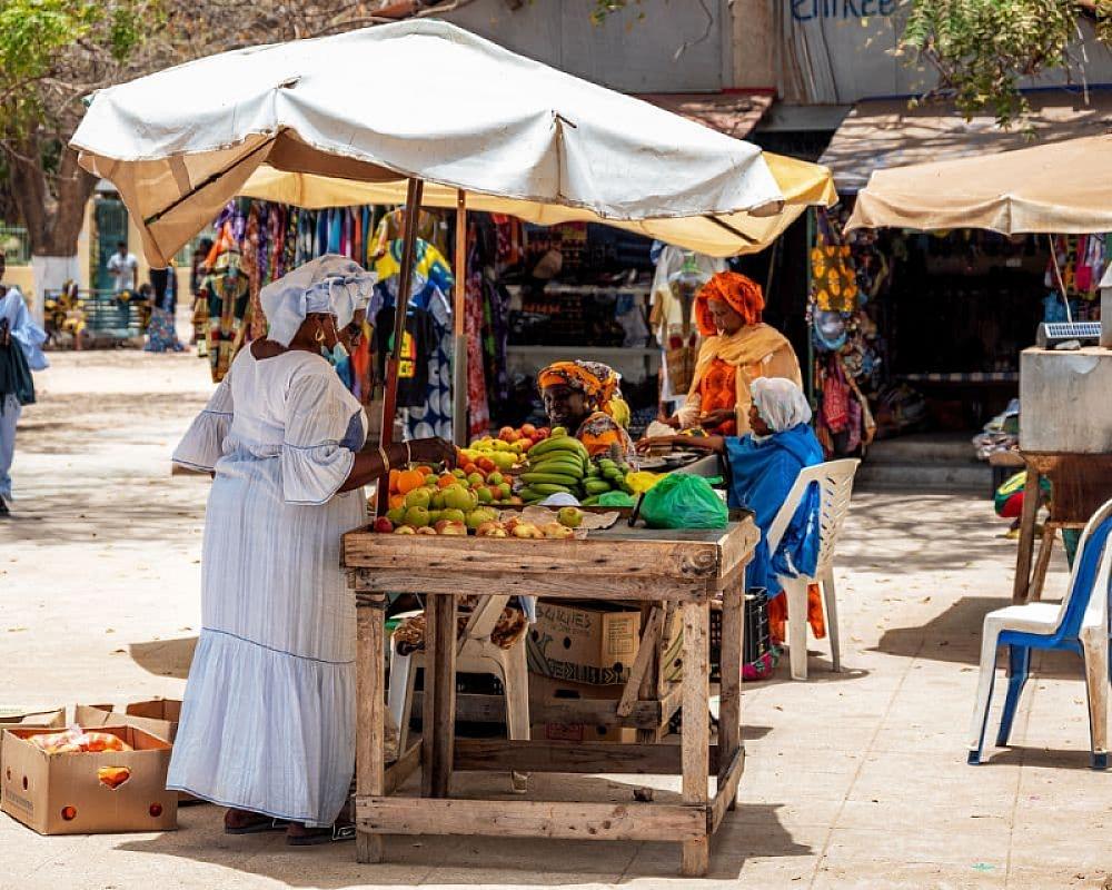  - Senegal: tra il mare e l'Africa vera